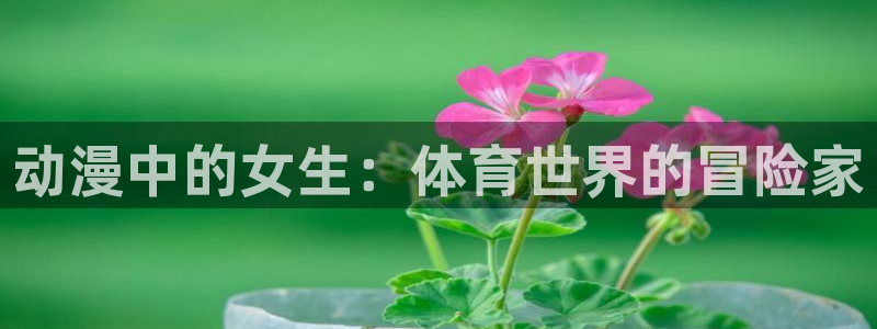 betway西汉姆联官网