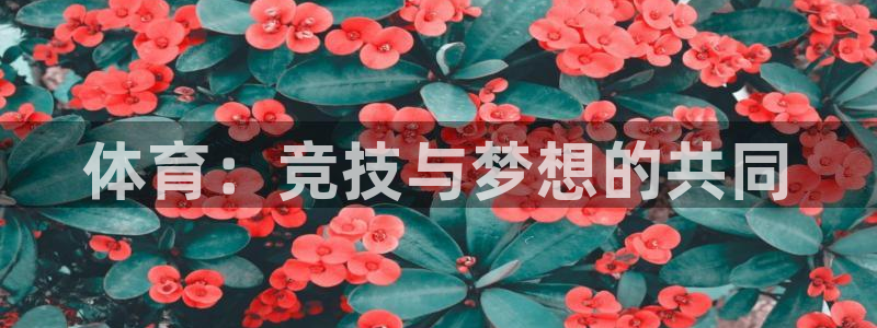 betway西汉姆