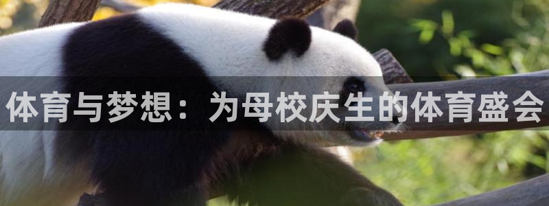 betway西汉姆