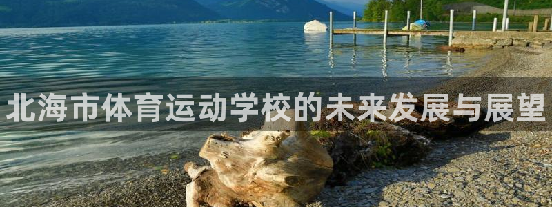 betway西汉姆