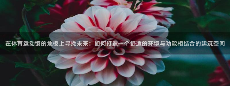 必威betway西汉姆联