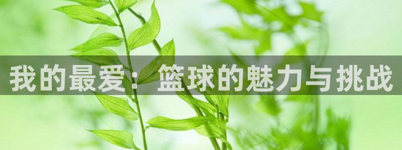 必威betway西汉姆联