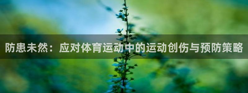 betway西汉姆联