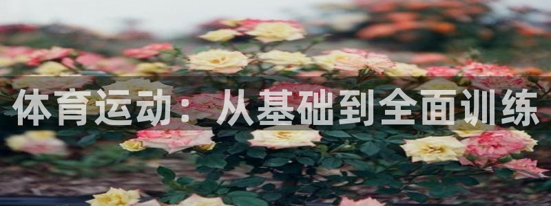 betway西汉姆联
