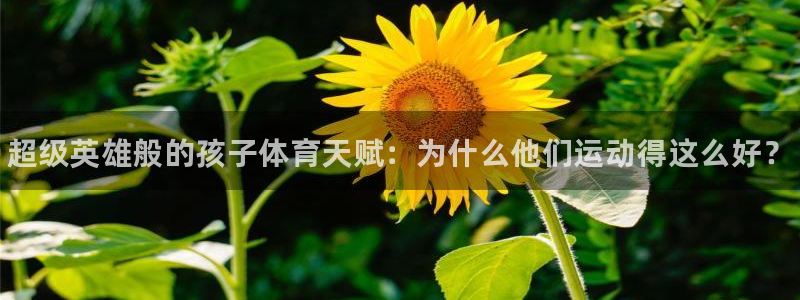 betway西汉姆联官网