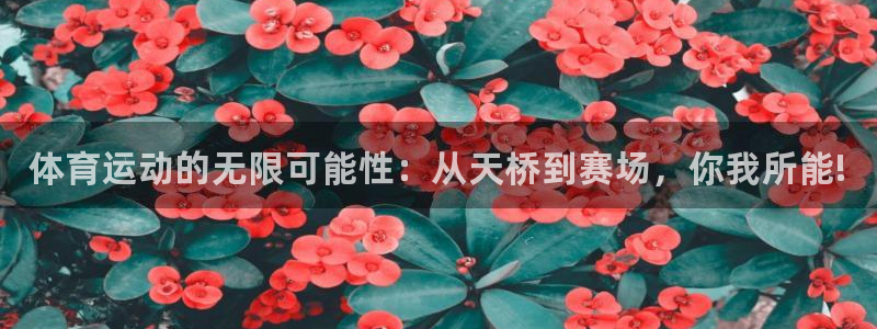 必威betway西汉姆联