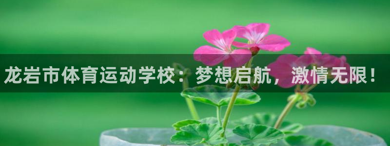 betway西汉姆联官网