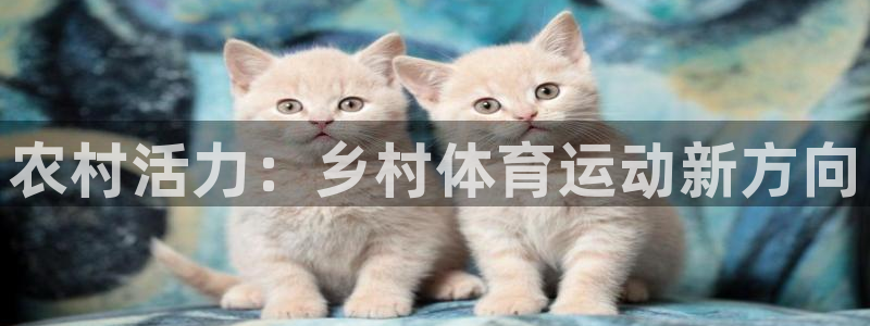 betway西汉姆